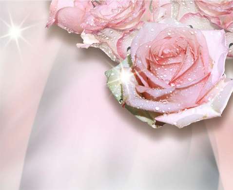 Fototapet 3D - Trandafiri roz cu picături de rouă pe un fundal roz pal