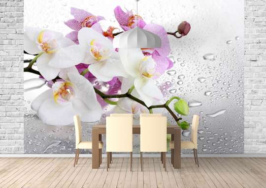 Wall Mural - Orchid branches