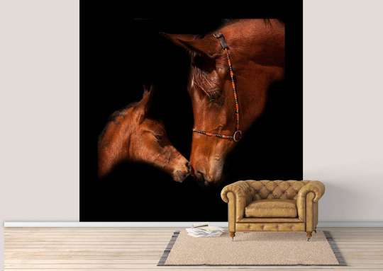 Фотообои - Лошадь и ее жеребенок в темноте