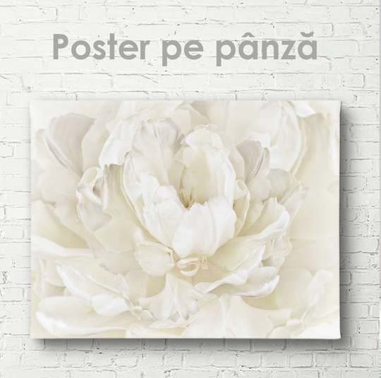 Постер - Белый цветок, 45 x 30 см, Холст на подрамнике