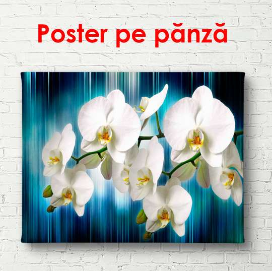 Постер - Белые орхидеи на синем фоне, 90 x 45 см, Постер в раме