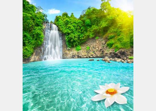 Wall Mural - Waterfall in which a white flower floats against the backdrop of a forest