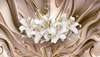 Фотообои - Белые лилии на фоне жидкой бронзы