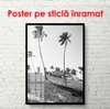 Poster - Palm trees on the shore, 30 x 60 см, Canvas on frame, Black & White