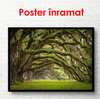 Poster - Green park with arched branches near the trees, 90 x 60 см, Framed poster