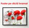 Poster - Pink poppies on a gray wall, 90 x 60 см, Framed poster, Flowers