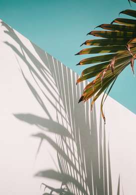 Poster - Umbre de palmier tropicali, 60 x 90 см, Poster inramat pe sticla