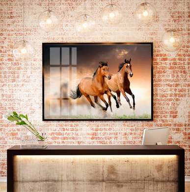 Постер, Две грациозные лошади, 90 x 60 см, Постер на Стекле в раме, Животные
