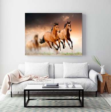 Постер, Две грациозные лошади, 90 x 60 см, Постер на Стекле в раме, Животные