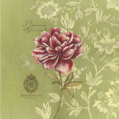 Постер - Розовый цветок на зеленом фоне, 100 x 100 см, Постер на Стекле в раме, Прованс