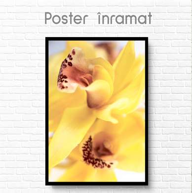 Poster - Floare galbenă, 60 x 90 см, Poster inramat pe sticla