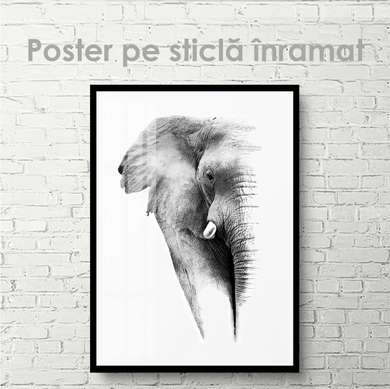 Poster, Elefantul, 60 x 90 см, Poster inramat pe sticla