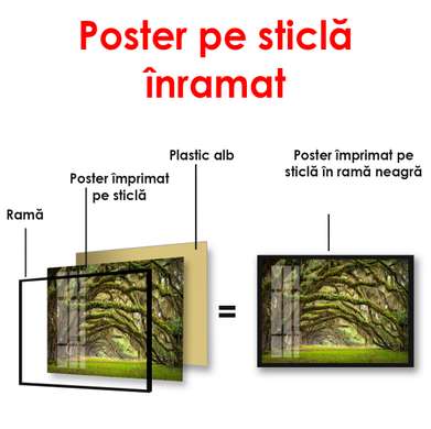 Poster - Green park with arched branches near the trees, 90 x 60 см, Framed poster