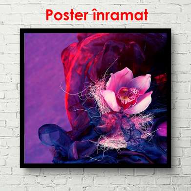 Постер - Розовый цветок на фиолетовом фоне, 100 x 100 см, Постер в раме, Цветы