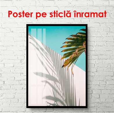 Постер - Абстрактный текстур фона листа и теней, 60 x 90 см, Постер на Стекле в раме, Минимализм