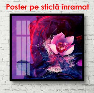 Постер - Розовый цветок на фиолетовом фоне, 100 x 100 см, Постер в раме, Цветы