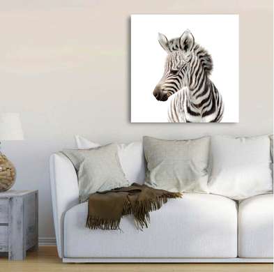 Poster - Zebra pe un fundal alb, 100 x 100 см, Poster înrămat