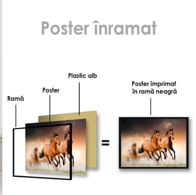 Poster, Doi cai grațioși, 90 x 60 см, Poster inramat pe sticla