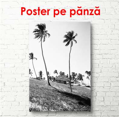 Poster - Palmieri pe mal, 30 x 60 см, Panza pe cadru, Alb Negru