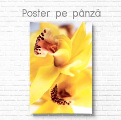 Постер - Желтый цветок, 60 x 90 см, Постер на Стекле в раме, Цветы