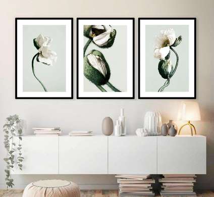 Poster - Floare albă de Mac, 40 x 60 см, Poster inramat pe sticla