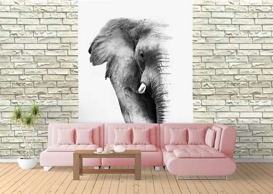 Fototapet - Un elefant pe fundal alb