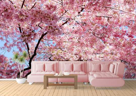 Wall Mural - Pink flowers against the sky.