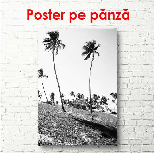 Poster - Palmieri pe mal, 30 x 60 см, Panza pe cadru