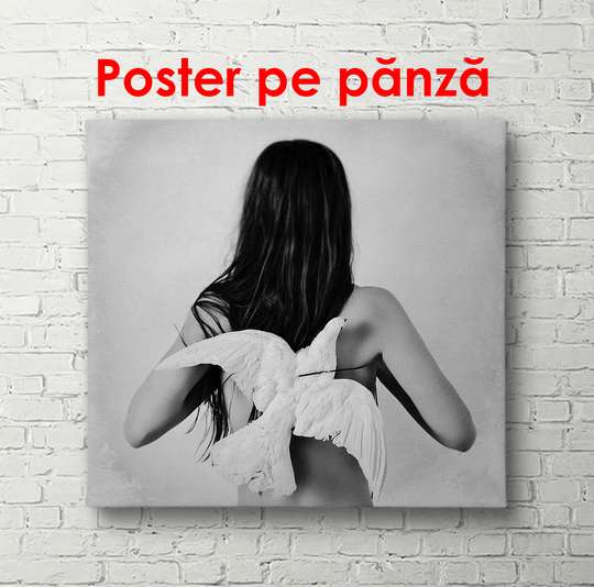 Постер - Девушка и голубь, 40 x 40 см, Холст на подрамнике, Черно Белые