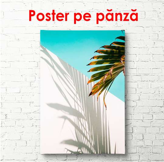 Постер - Абстрактный текстур фона листа и теней, 60 x 90 см, Постер на Стекле в раме