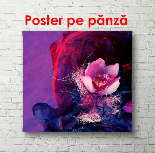 Poster - Floare roz pe un fundal violet, 100 x 100 см, Poster înrămat