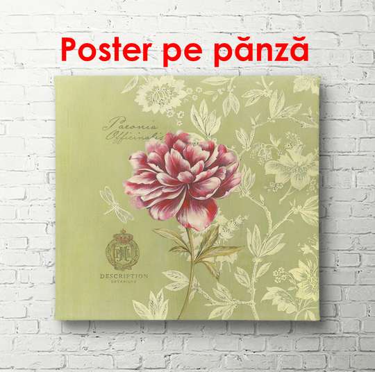 Poster - Pink flower on a green background, 100 x 100 см, Framed poster