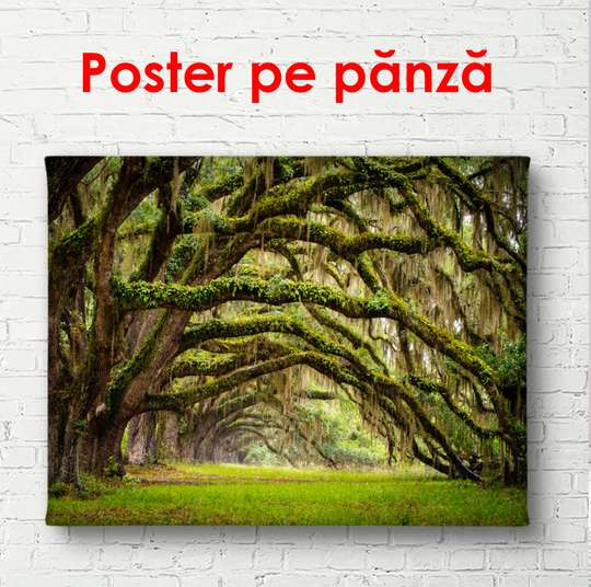 Poster - Parcul verde cu ramuri arcuite lângă copaci, 90 x 60 см, Poster înrămat