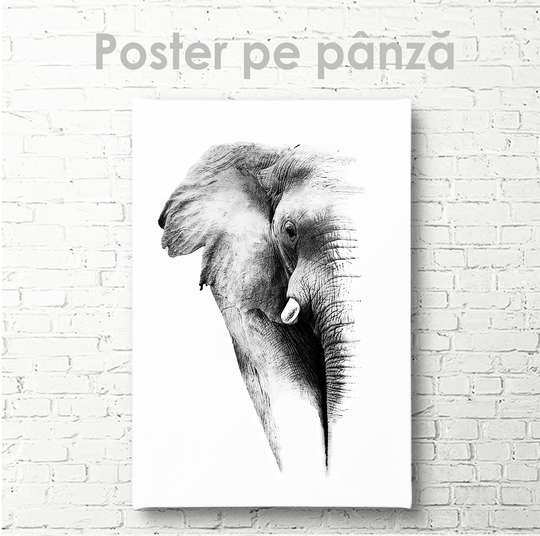 Постер, Слон, 30 x 45 см, Холст на подрамнике