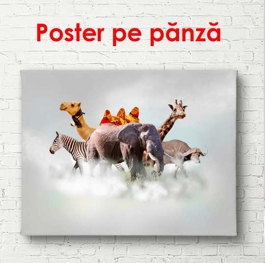Постер - Африканские животные в облаках, 90 x 60 см, Постер в раме