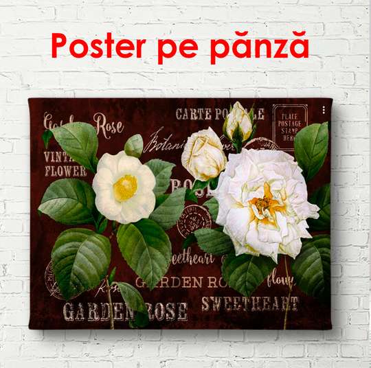 Постер - Белые крупные пионы с зелеными листьями на коричневом фоне, 90 x 60 см, Постер в раме