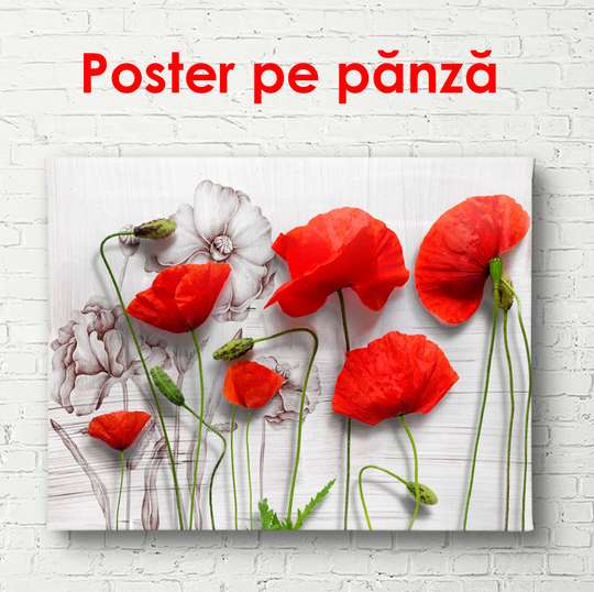 Poster - Pink poppies on a gray wall, 90 x 60 см, Framed poster