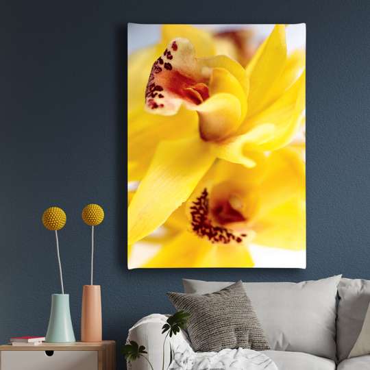 Poster, Floare galbenă, Panza pe cadru