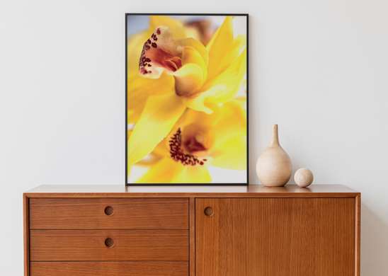 Постер - Желтый цветок, 60 x 90 см, Постер на Стекле в раме, Цветы