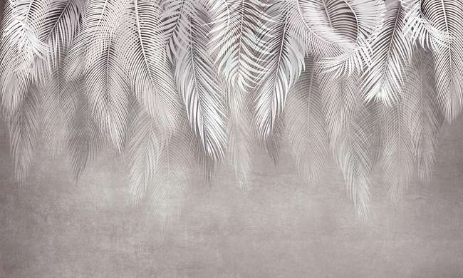 Фотообои - Бледно-серые абстрактные перья
