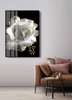 Poster - Trandafir alb cu contur auriu, 60 x 90 см, Poster inramat pe sticla, Flori