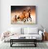 Poster, Two graceful horses, 90 x 60 см, Framed poster on glass, Animals