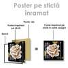 Poster - Unusual flower, 100 x 100 см, Framed poster on glass, Flowers