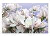 Tablou Pe Panza Multicanvas, Floare delicată, 70 x 50, 70 x 50