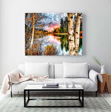 Poster - Birch trees near the lake at sunset, 90 x 60 см, Framed poster, Nature