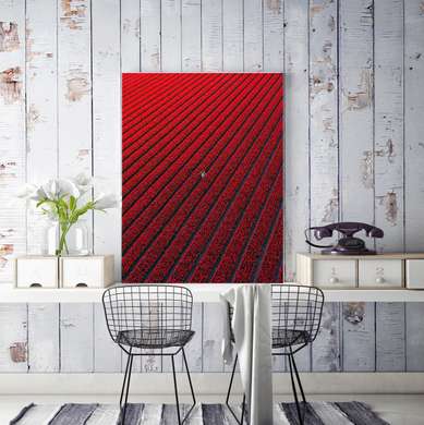 Poster - Red field, 30 x 45 см, Canvas on frame