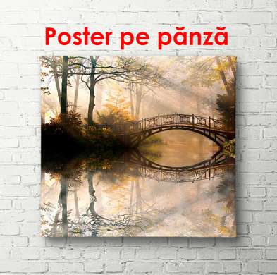 Poster - Foggy forest with a bridge, 100 x 100 см, Framed poster, Nature