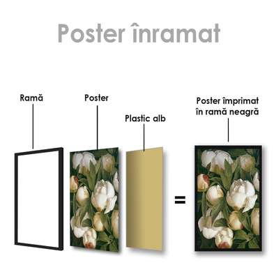Постер - Белые пионы, 60 x 90 см, Постер на Стекле в раме, Цветы