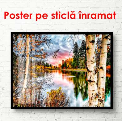 Poster - Birch trees near the lake at sunset, 90 x 60 см, Framed poster, Nature