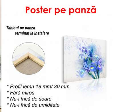Poster - Iris pictat în acuarelă pe fundal alb, 40 x 40 см, Panza pe cadru, Botanică